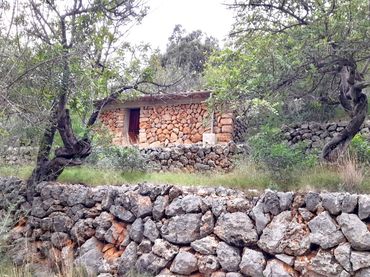 Terreno rustico in vendita a Fornalutx