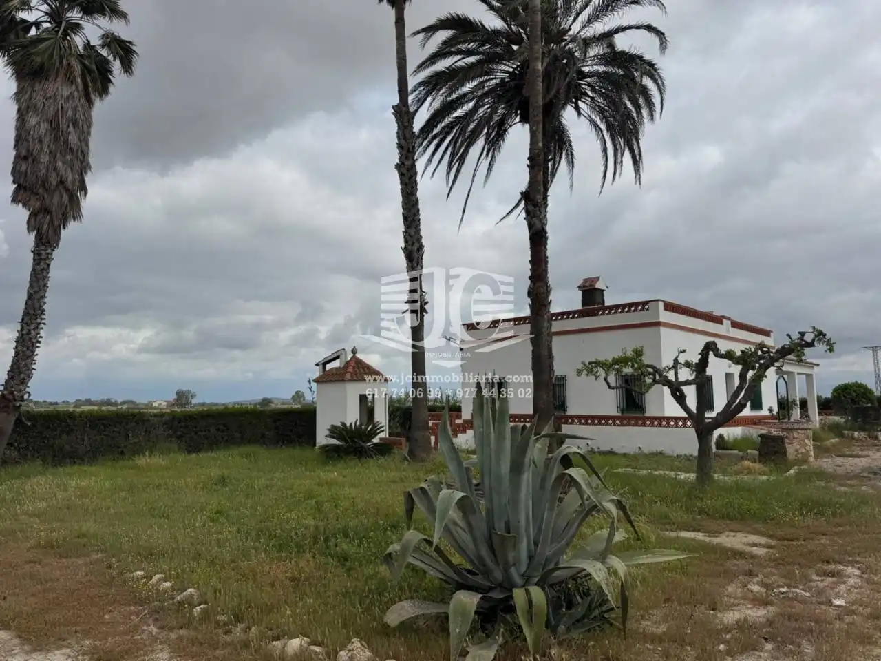 Jardín de Casa o chalet en venta en Amposta con Jardín privado, Terraza y Amueblado