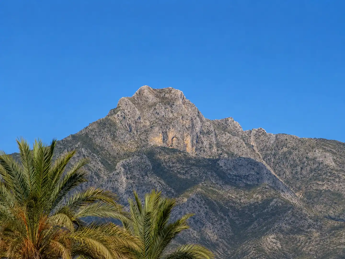 Exterior view of Houses for rent in Marbella  with Air Conditioner, Heating and Private garden