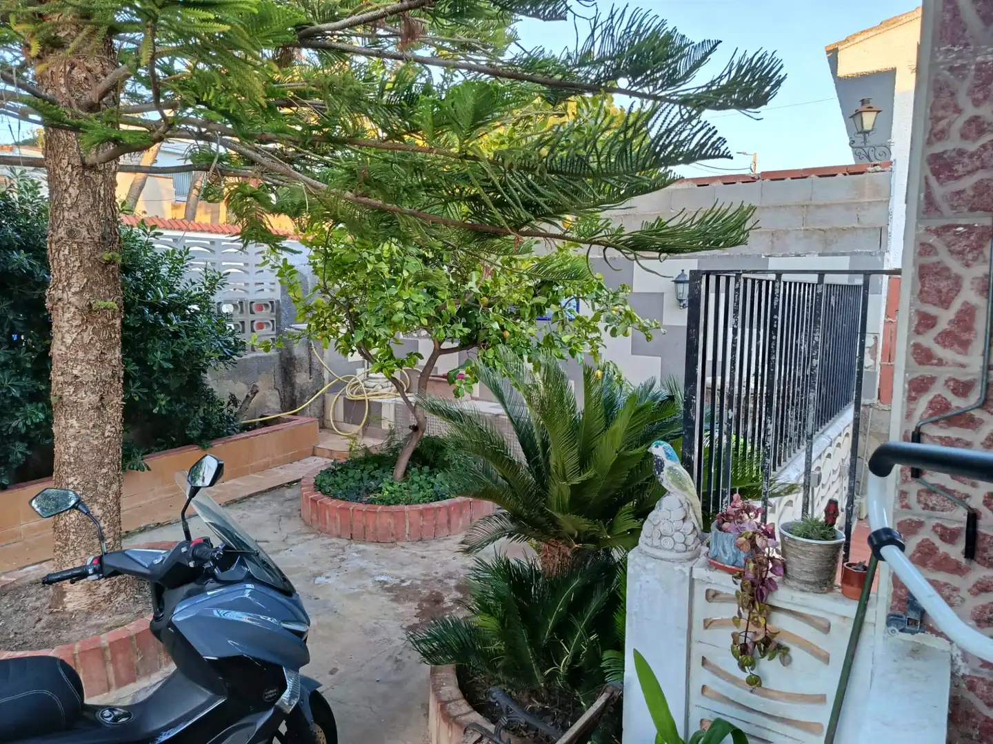 Jardín de Casa o chalet en venta en Torrent con Aire acondicionado, Calefacción y Jardín privado