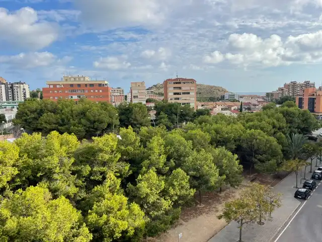 Flat with pool to rent in Calle Doctor Carlos Belmonte, imagen 4