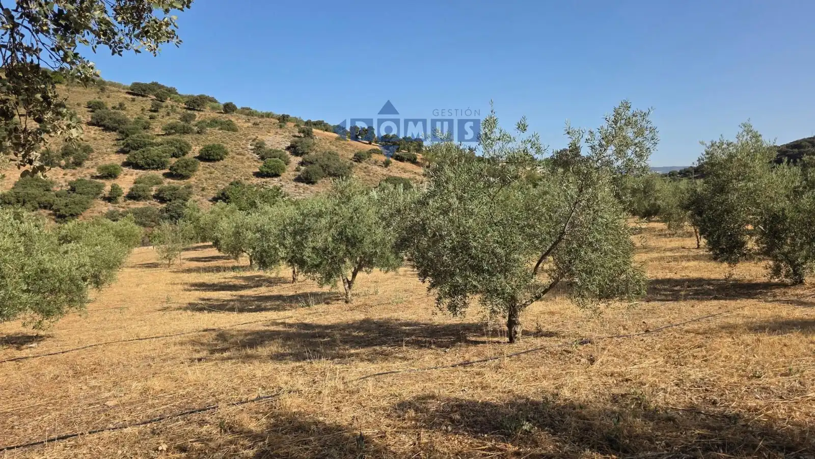 Terreno en venta en Camino Cartajima, carretera de san pedro, Partidas Sur
