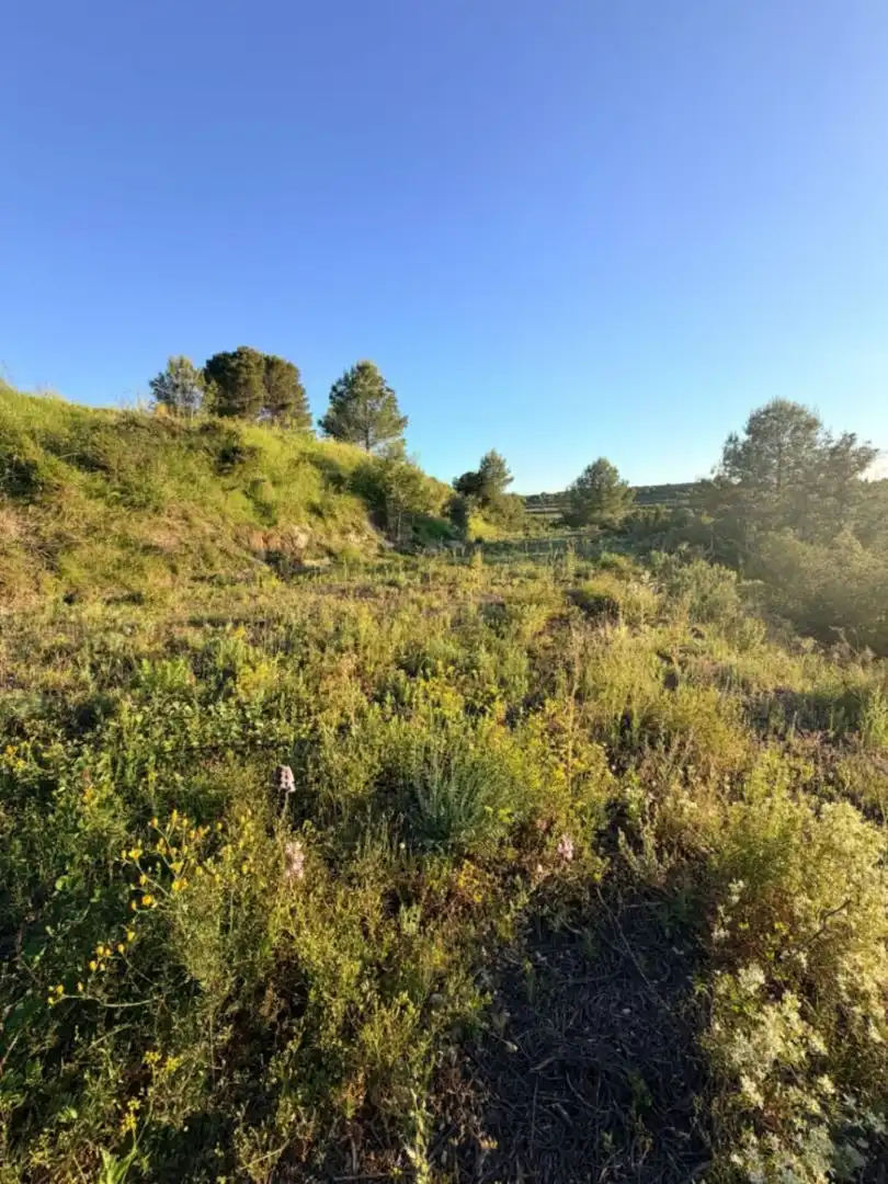 Terreny residencial en venda a El Juncal - Vallealto, imagen 15