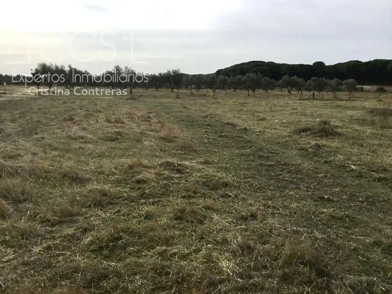 Casa rústica en venda a Almonte ciudad, imagen 6