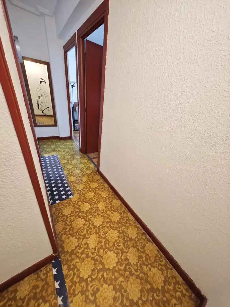 Flat with lift for sale in Bagatza - San Vicente, imagen 14