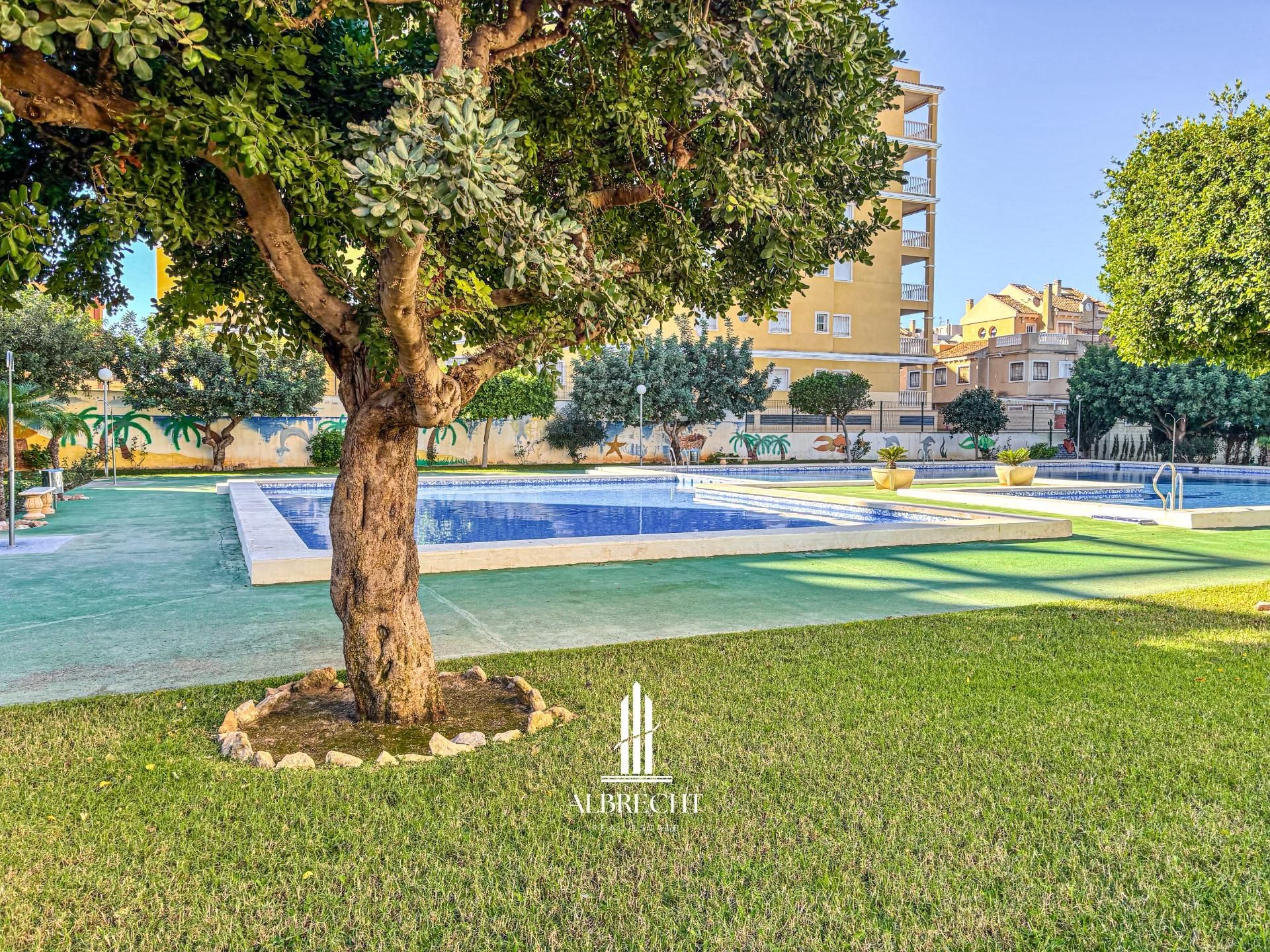 Swimming pool of Apartment to rent in Torrevieja  with Air Conditioner and Community pool