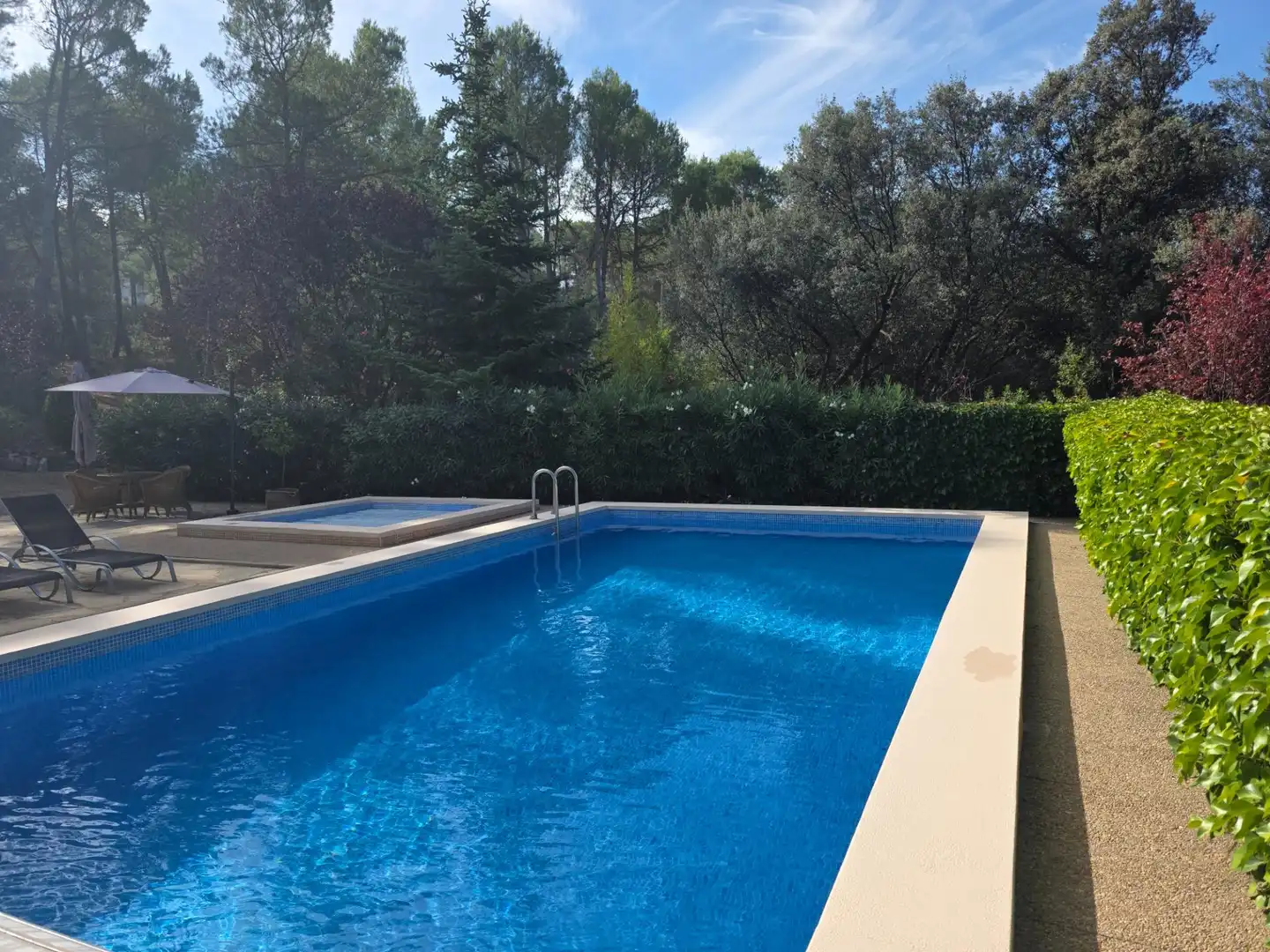 Villa mit Pool zum Verkauf in Centre - Zona Alta, imagen 79