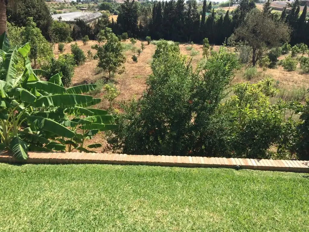 Lands and plots for sale in Centro, imagen 5