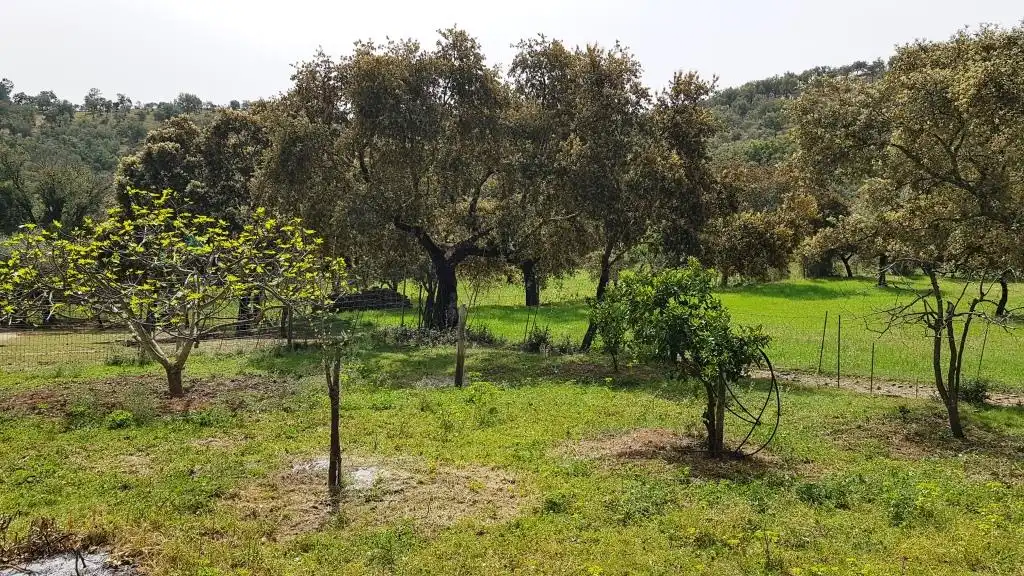Terrenos y solares en venta en Extramuros Diseminados 5, imagen 21