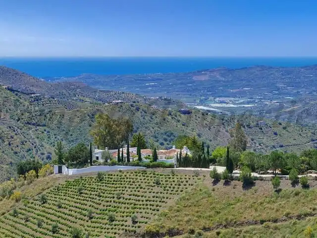 Casa adosada en venta en Canillas de Aceituno