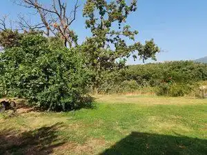 Terreni e lotti in vendita a Jarandilla de la Vera, imagen 4
