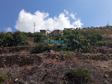 Lands and plots for sale in Algarrobo pueblo