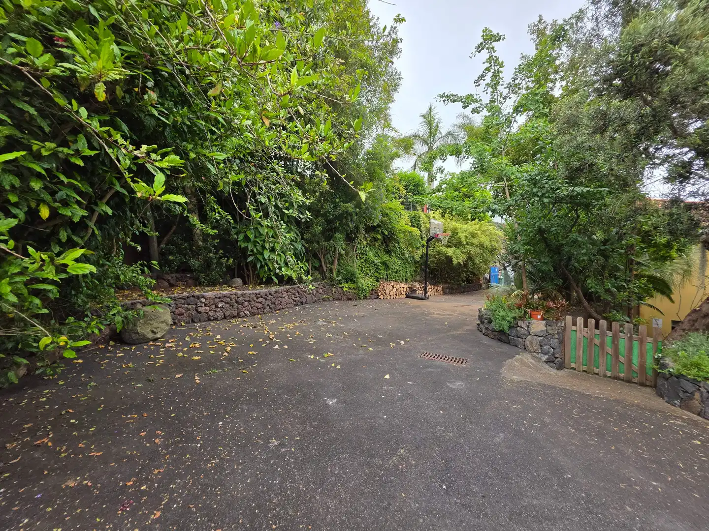 Exterior view of Houses for sale in La Orotava  with Private garden, Terrace and Storage room