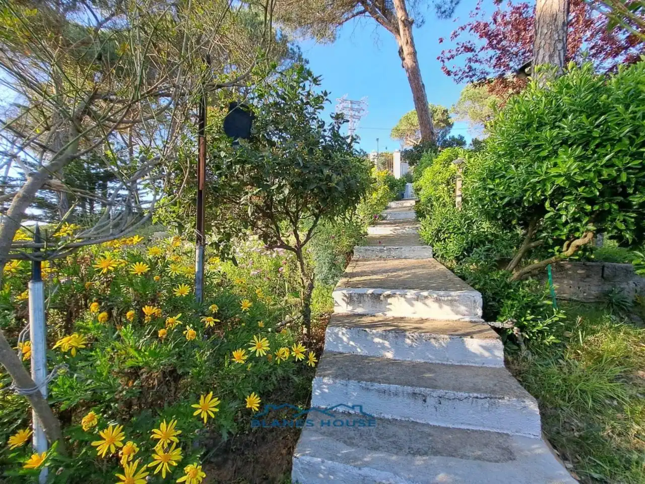Vista exterior de Casa o xalet en venda en Tordera amb Jardí privat, Terrassa i Moblat