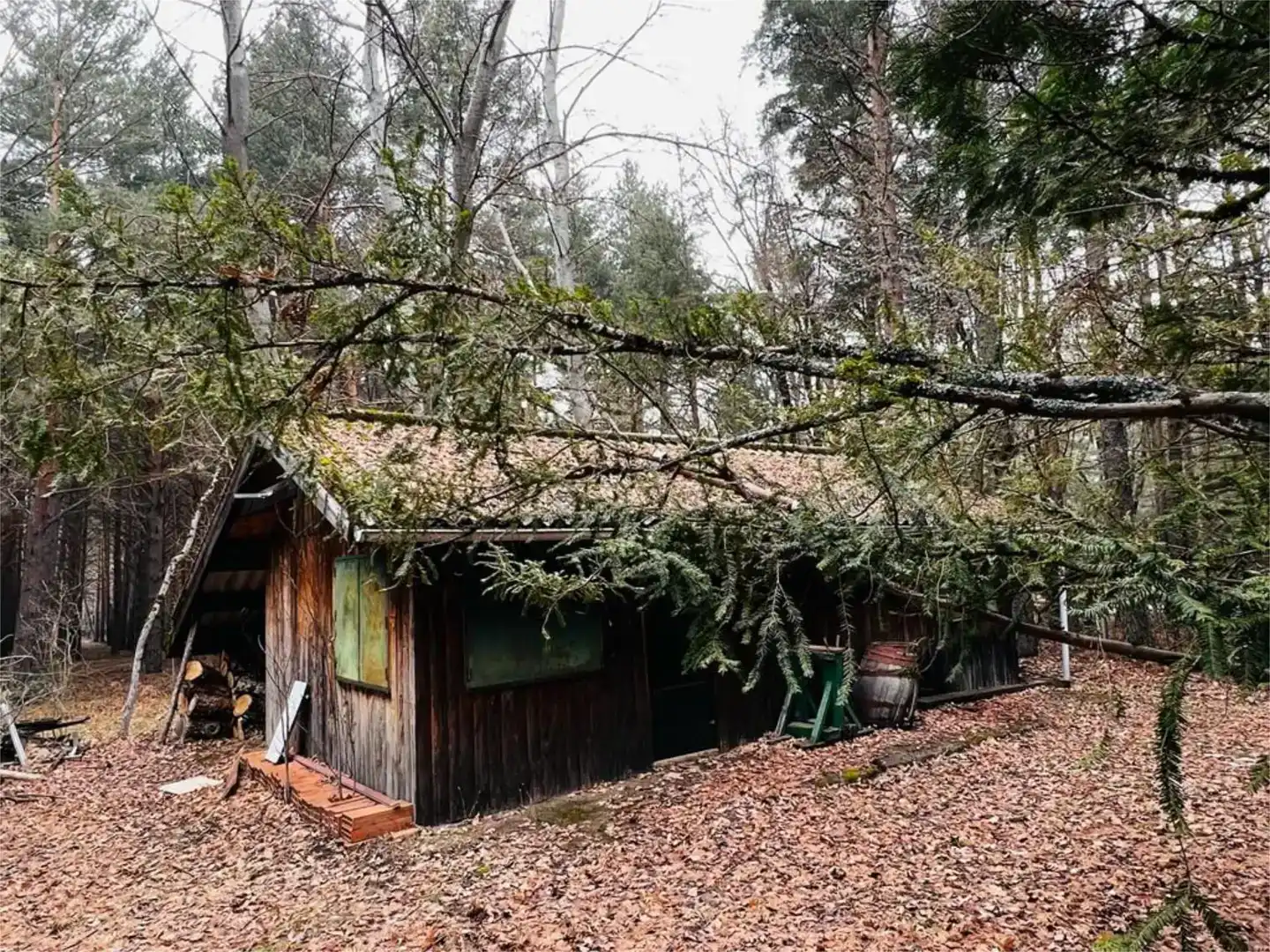 Vista exterior de Finca rústica en venda en Rascafría, Madrid