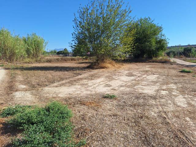 Terreno en Venta en Camino del Hondón en El Llano