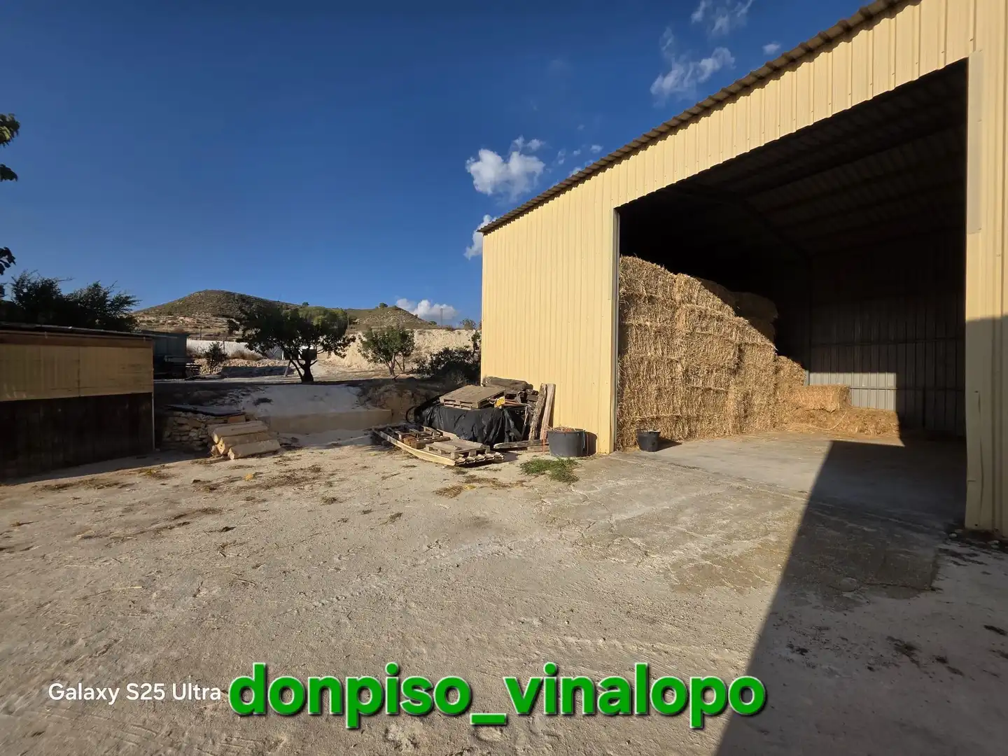 Vista exterior de Finca rústica en venta en Petrer, Alicante