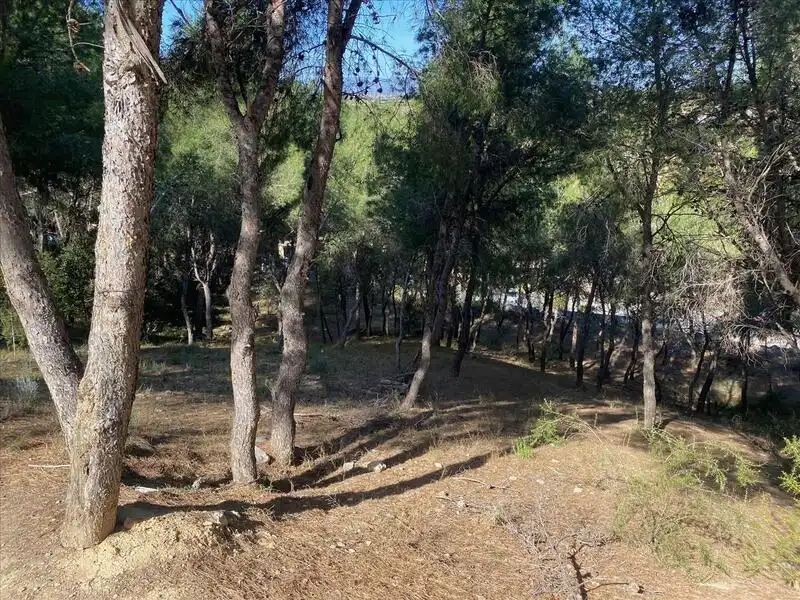 Wohnbaugrundstück zum Verkauf in Urb. EL BOSQUE, parcela, 286, imagen 11