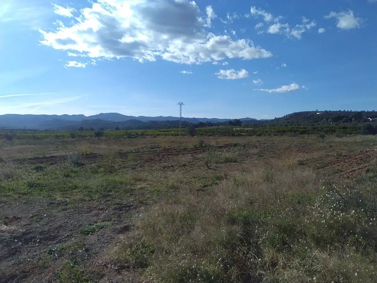 Terreno rústico en venta en Alfara de la Baronia, imagen 3