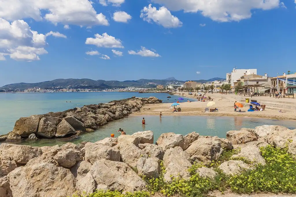 Terreny rústic en venda a Platja de Palma, imagen 23