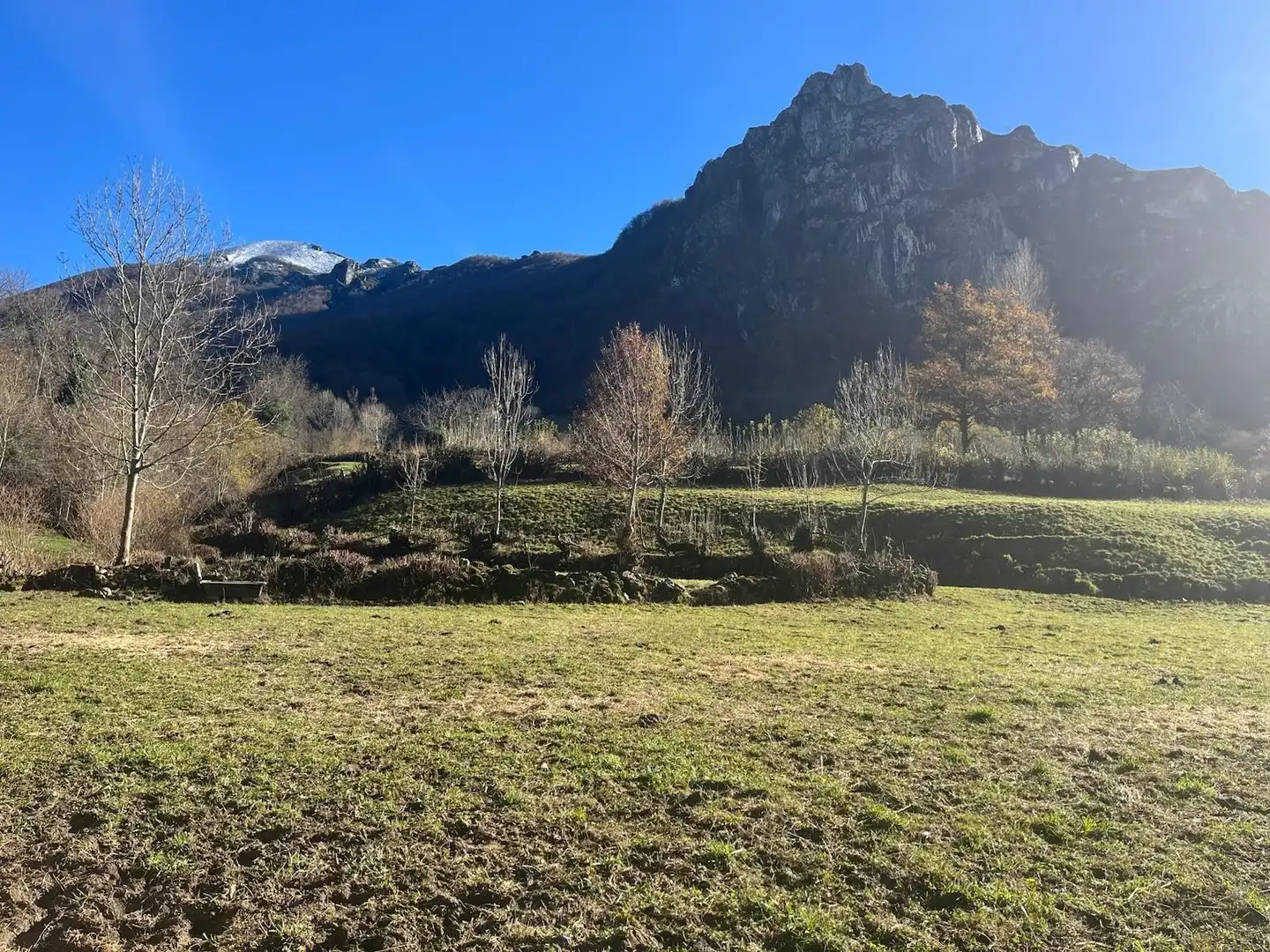 Land for sale in Aller