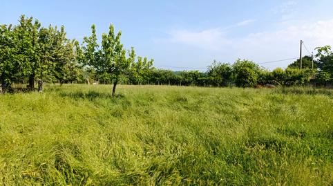 Foto 5 de Finca rústica en venda a Lugar Quintairo, O Saviñao , Lugo