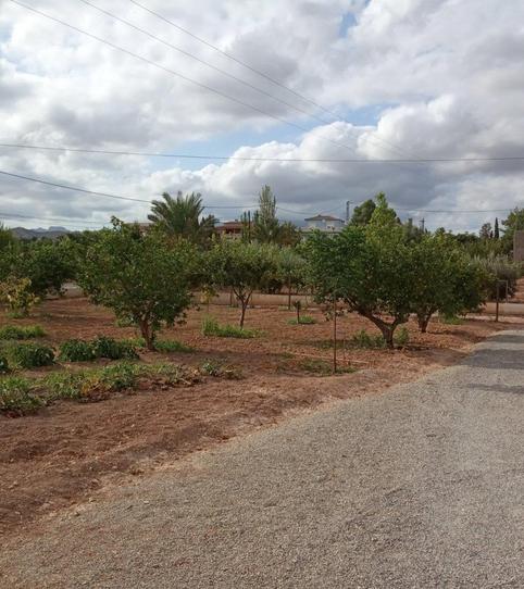 Foto 2 de Casa o xalet de lloguer a Moralet, Alicante / Alacant