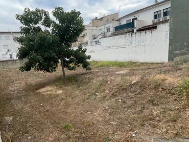 Terrain rustique à vendre à Avenida Avinguda Jaume I