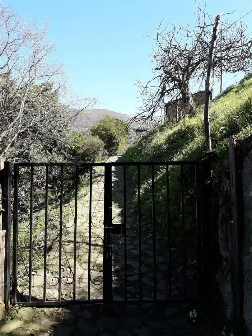 Vista exterior de Terreno en venta en Mieres (Asturias)