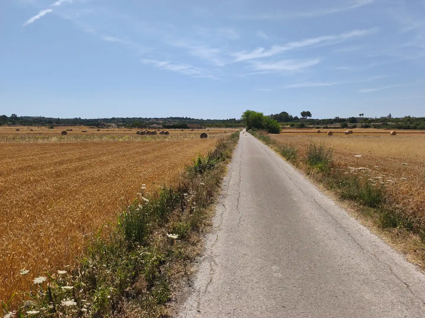 Terreno rustico in vendita a Montuïri