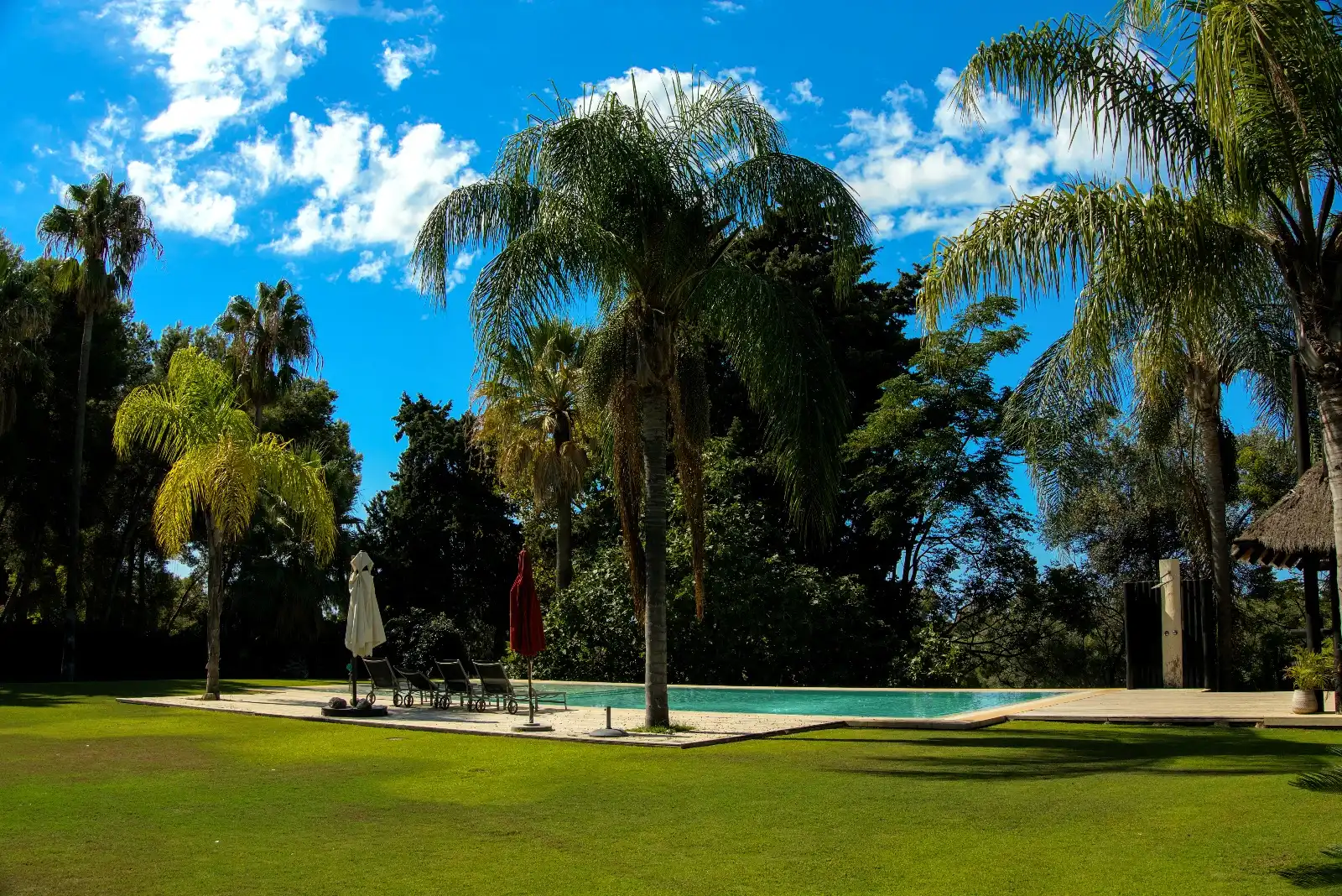 Piscina de Casa o xalet en venda en Marbella amb Aire condicionat, Jardí privat i Parquet