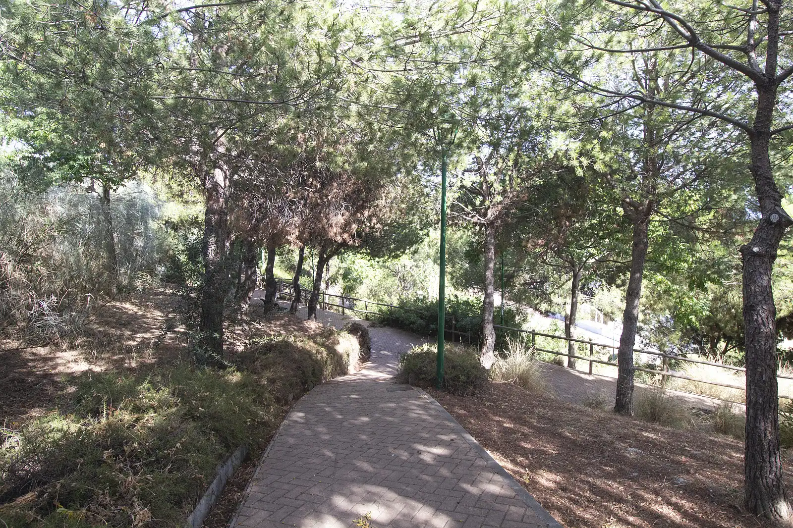 Casa con terraza en venta en Montealto - Monterrey, imagen 15