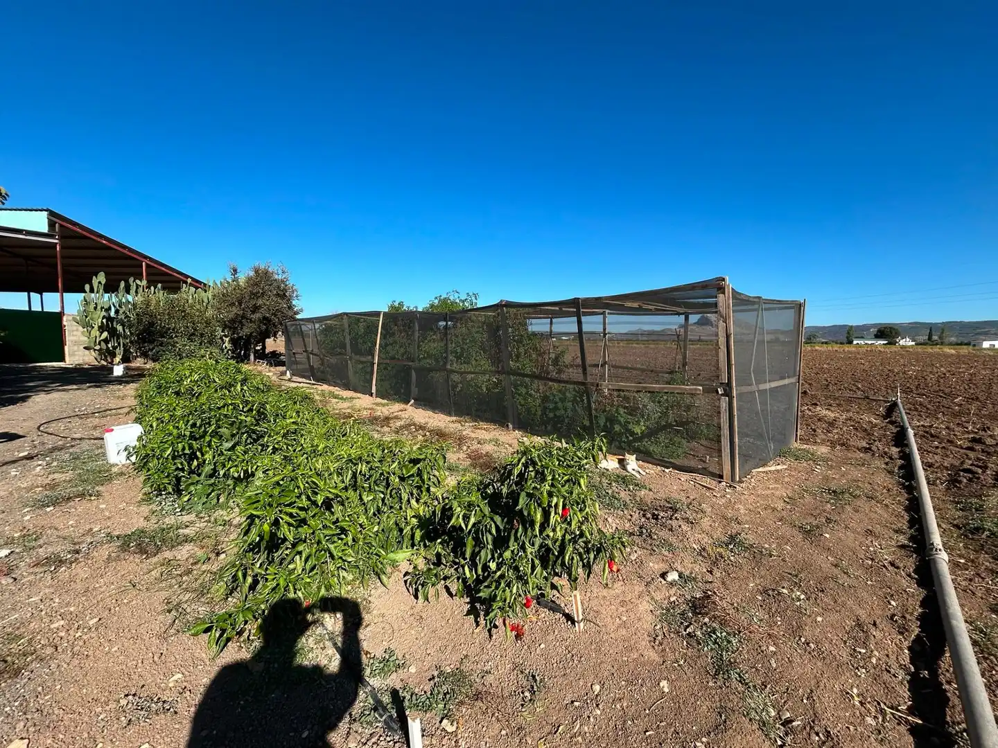 Casa rústica con terraza en venta en Zona de la Vega, imagen 4