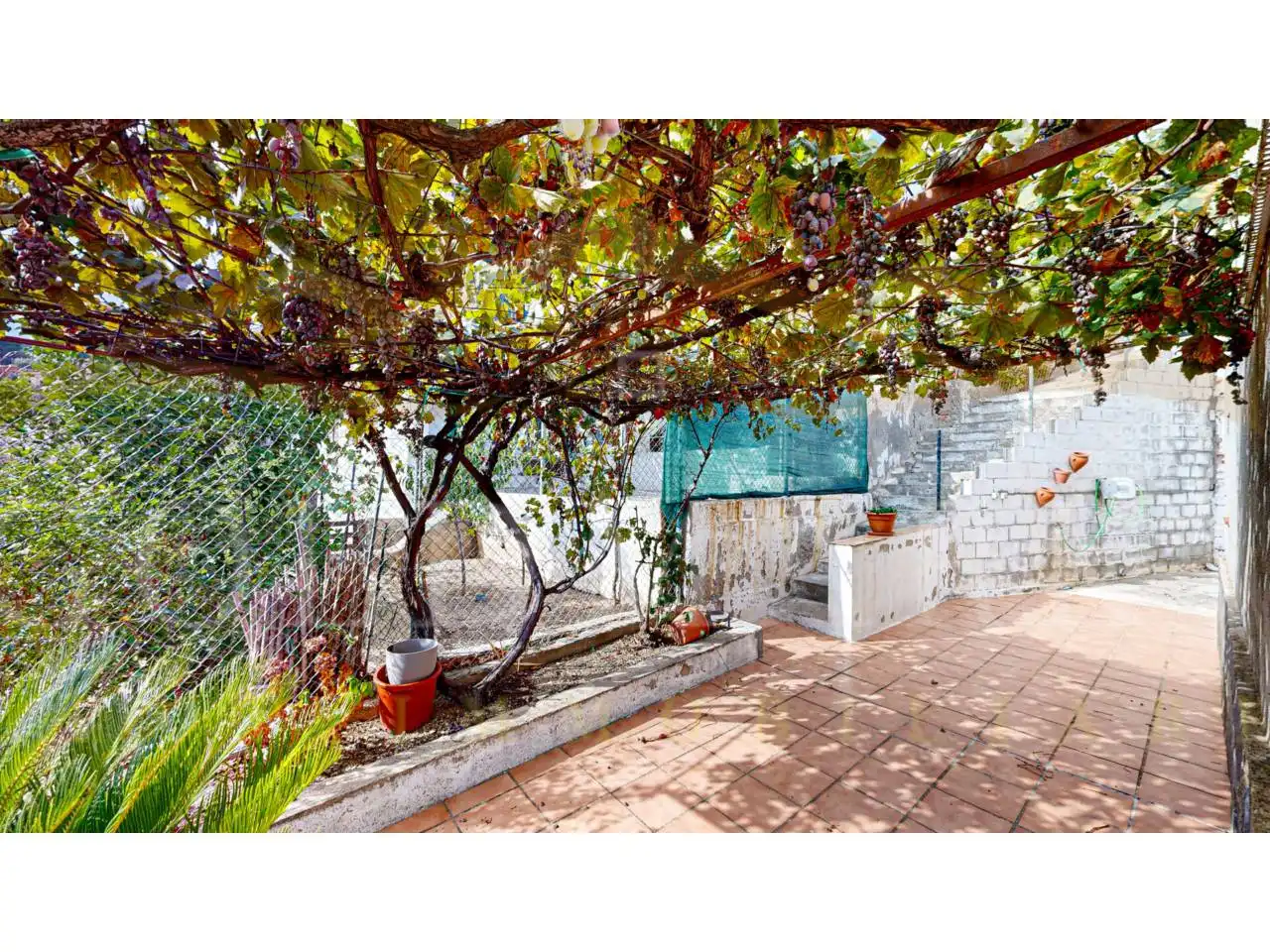 Jardín de Casa o chalet en venta en Corbera de Llobregat con Aire acondicionado, Calefacción y Jardín privado