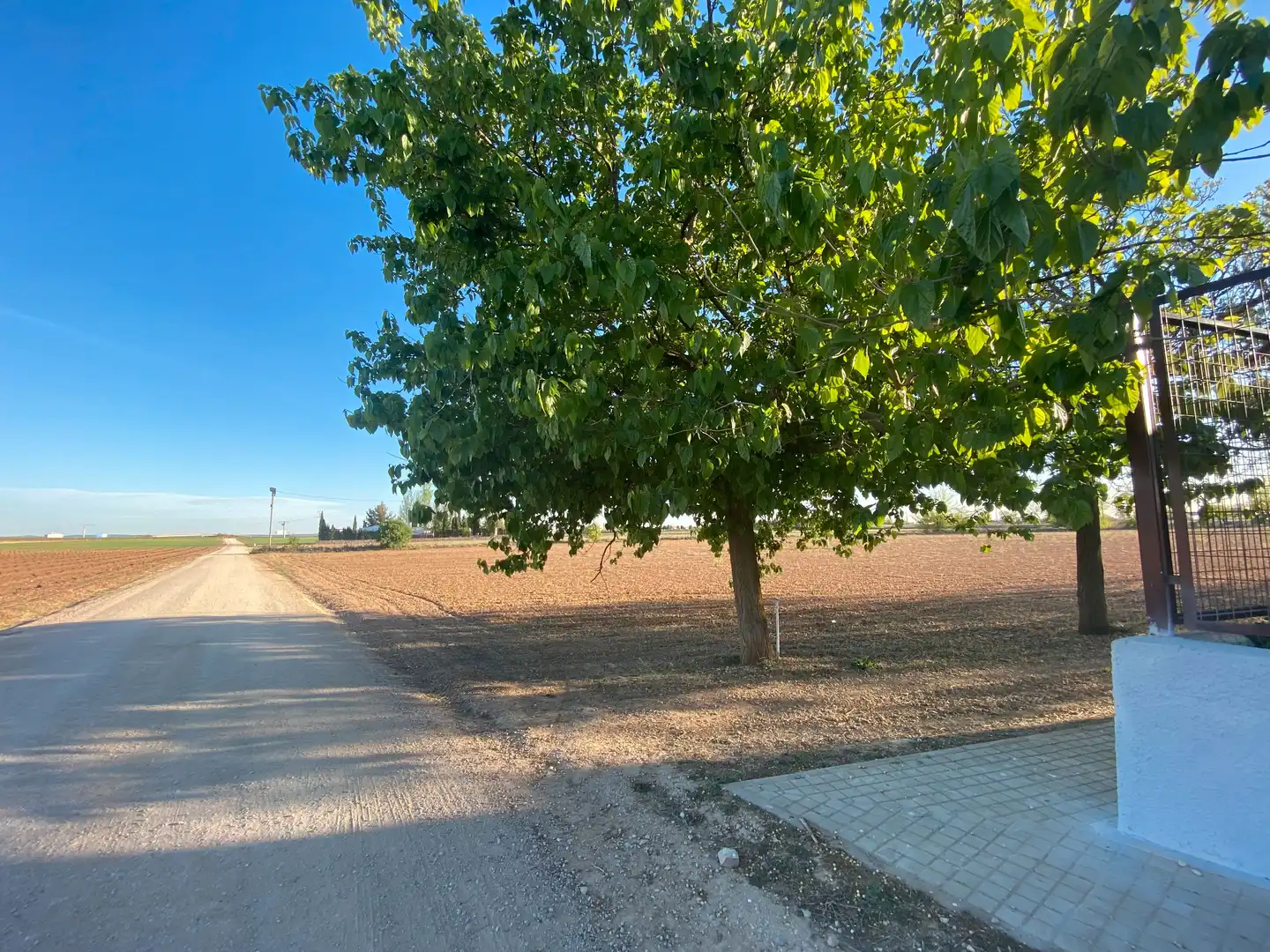 Casa o chalet en venta en Tomelloso con Jardín privado, Trastero y Amueblado