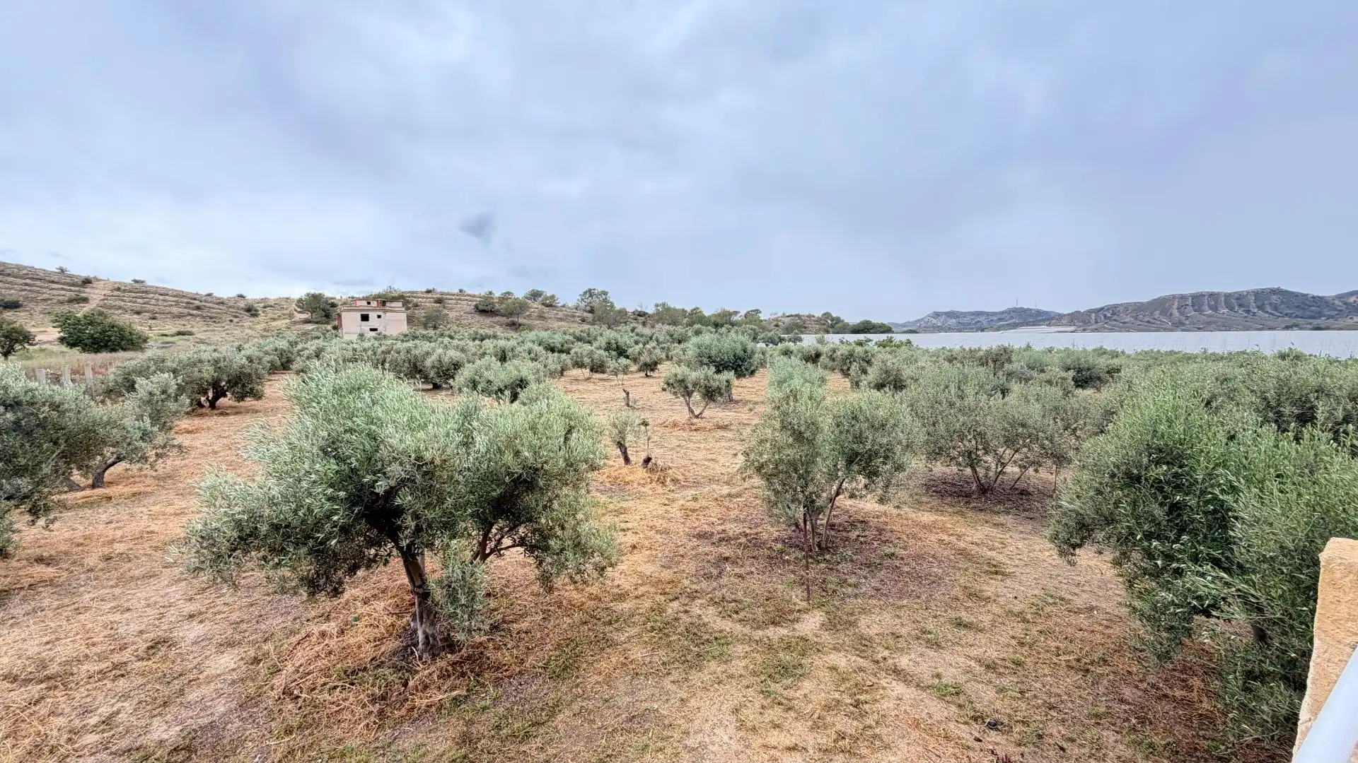 Houses for sale in Elche / Elx  with Heating, Private garden and Storage room