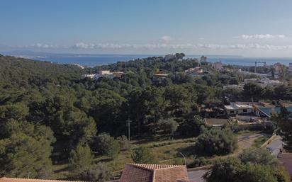 Vista exterior de Casa o xalet en venda en  Palma de Mallorca amb Terrassa