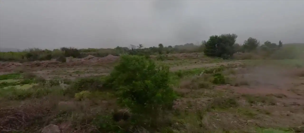 Terreno rustico in vendita a Polígono 87 Parcela 36, PLA PINELA, imagen 4