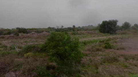 Photo 4 of Land for sale in Polígono 87 Parcela 36, Pla Pinela, -1, Los Pinares - La Masia, Valencia