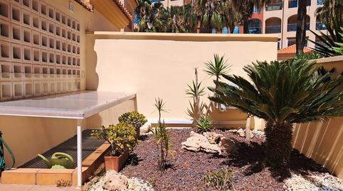 Photo 5 of Single-family semi-detached for sale in Calle Salsona, Almerimar, Almería