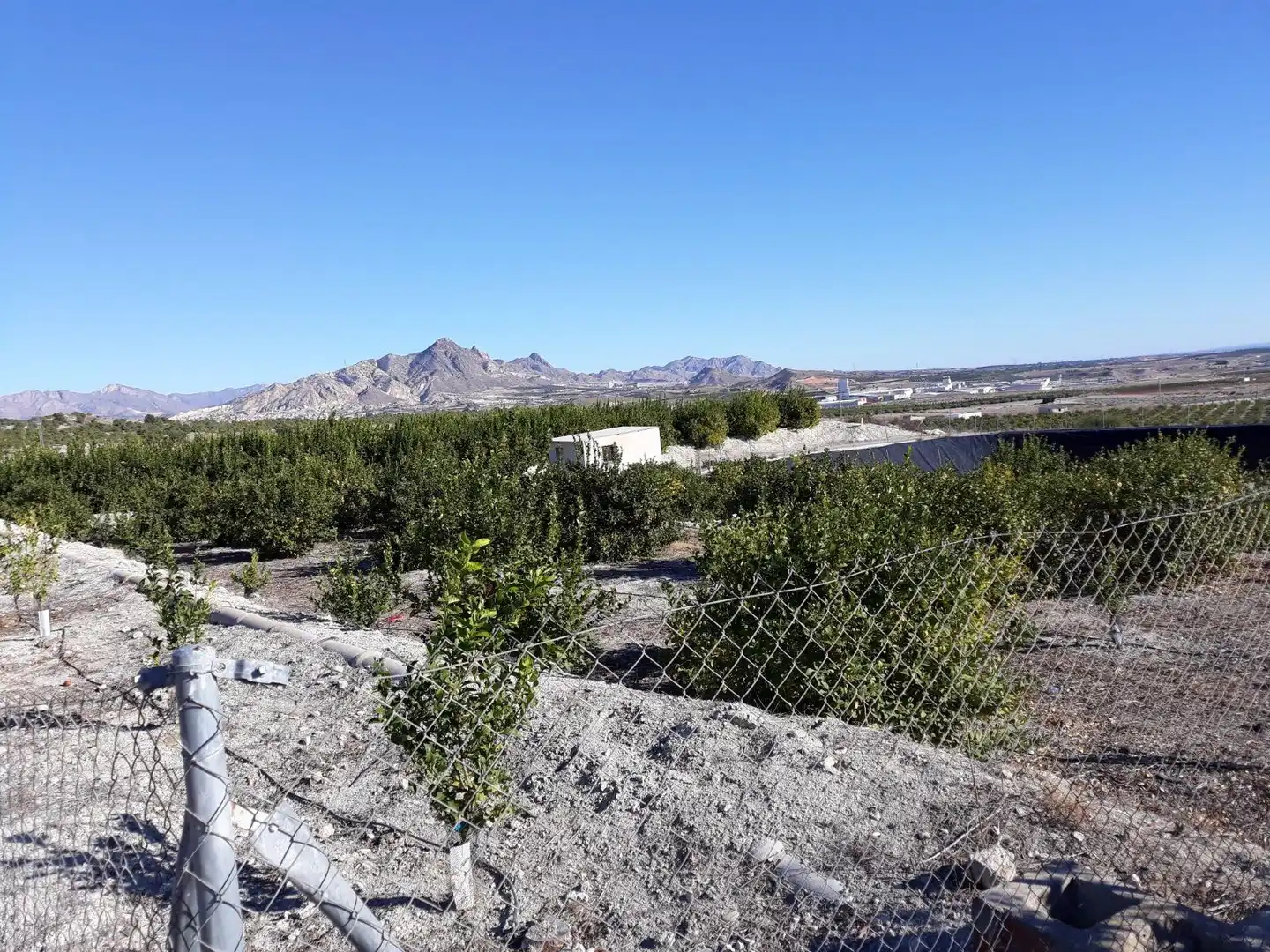 Terreny residencial en venda a Montepinar - La Aparecida - Raiguero, imagen 5