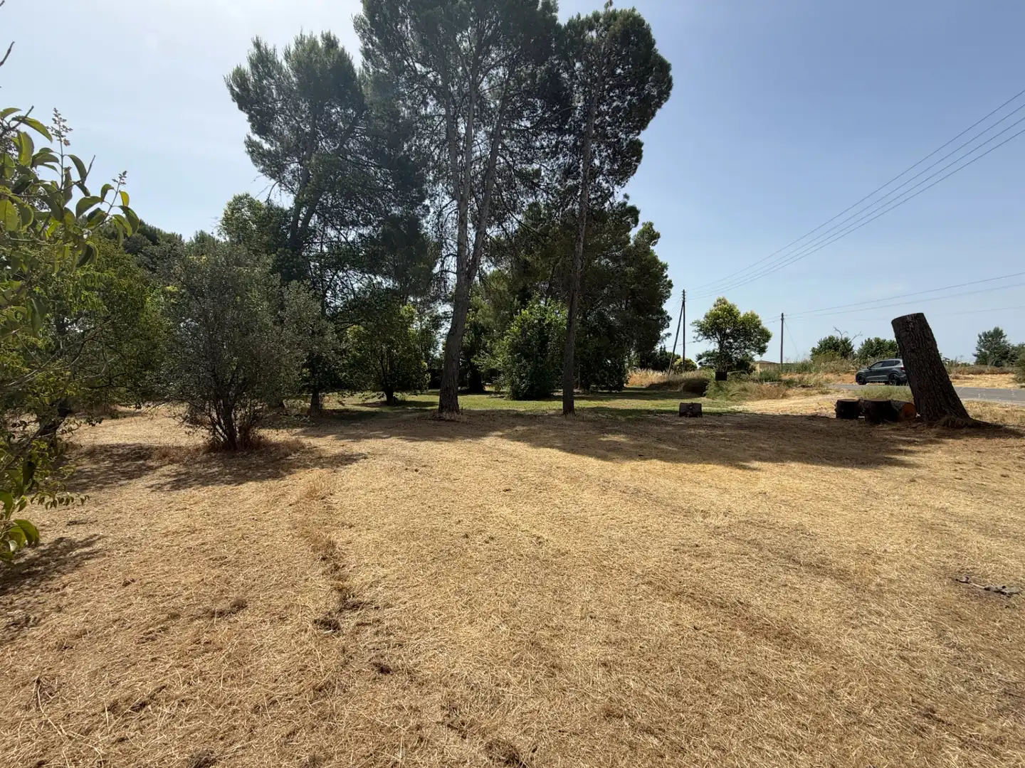Residencial en venda a Camí de Lleida, 14, Els Alamús