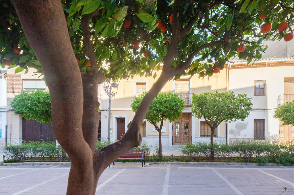 Vista exterior de Piso en venta en Moncada