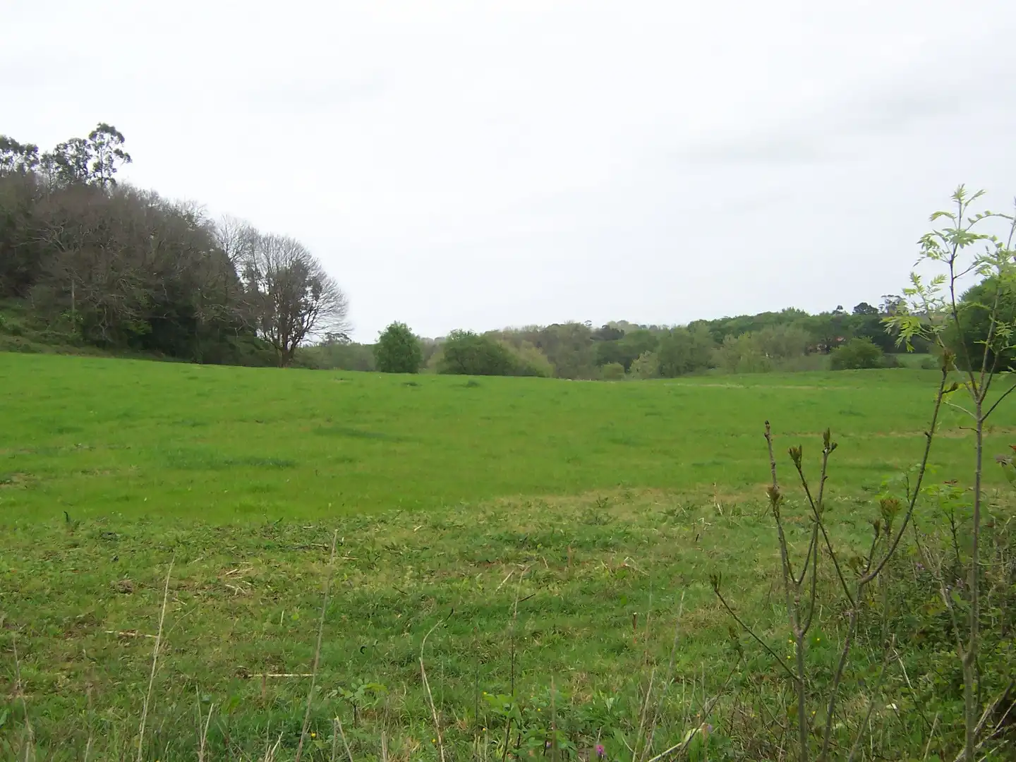 Finca rústica en venda en Marina de Cudeyo amb Jardí privat