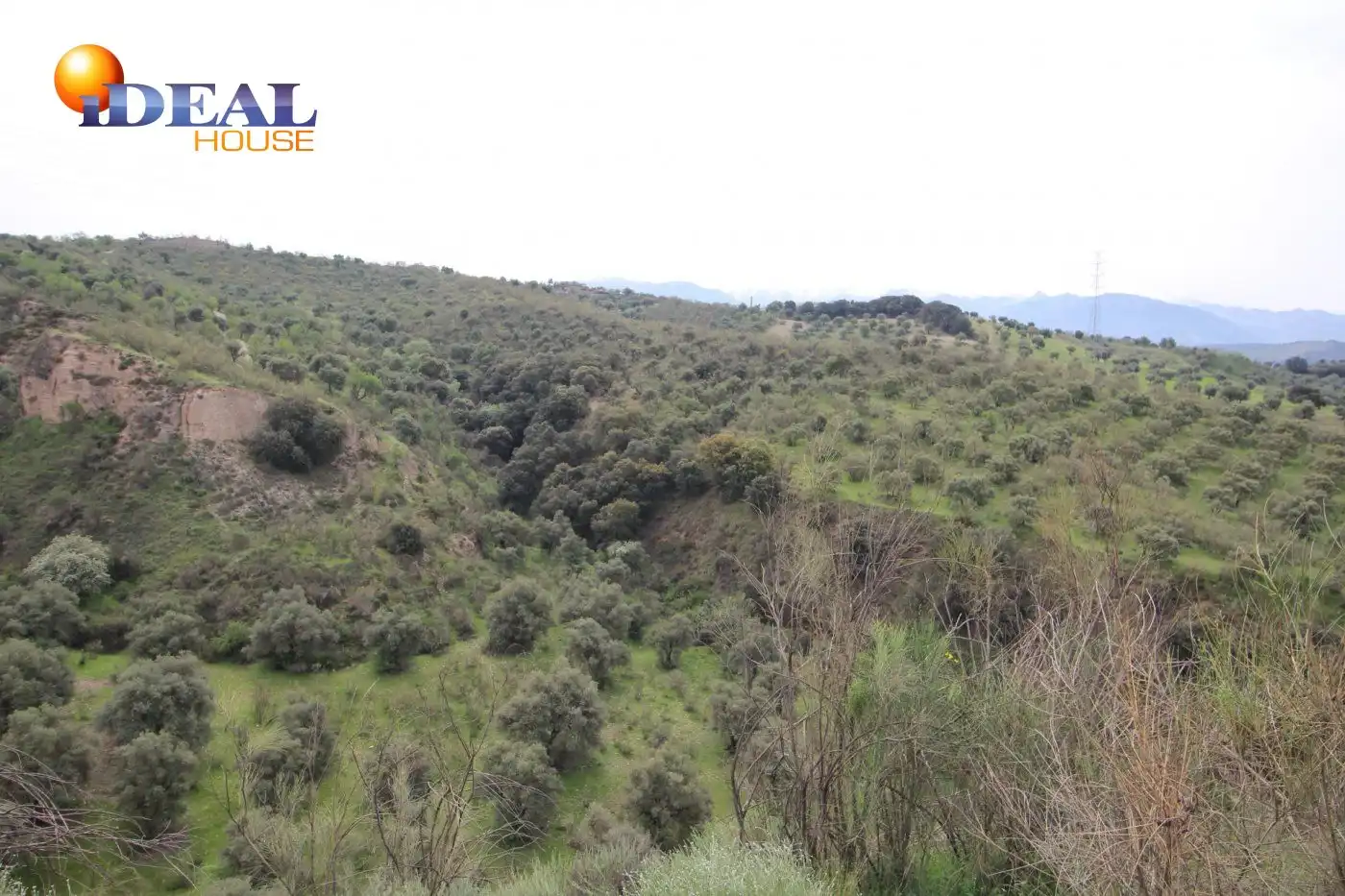 Country homes for sale in Víznar