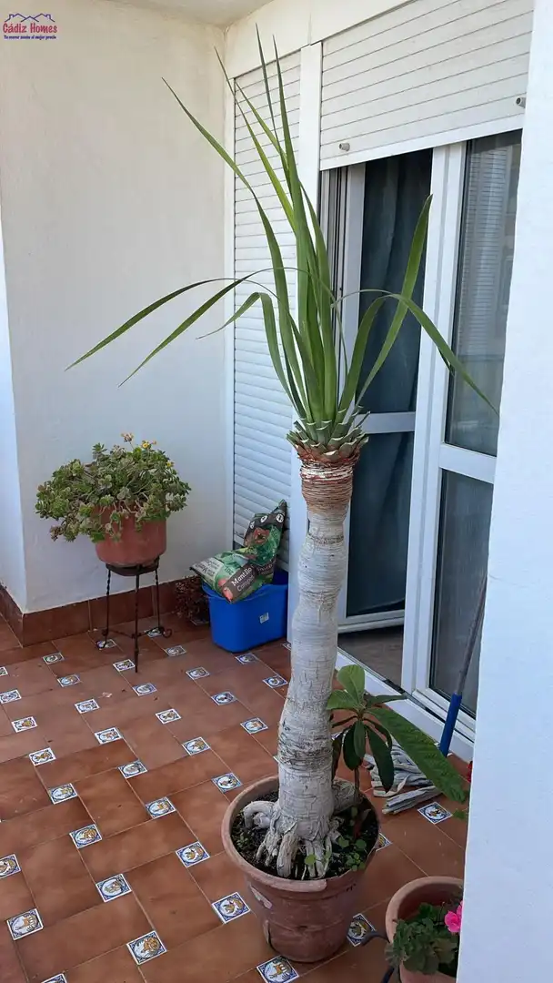 Flat with lift for sale in La Caleta - La Viña, imagen 17