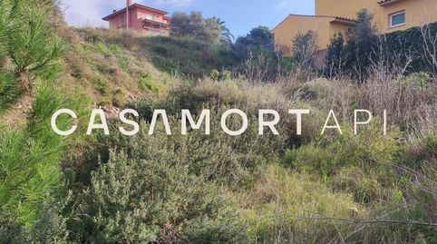 Parcela Edificable al Camp dels Pilans