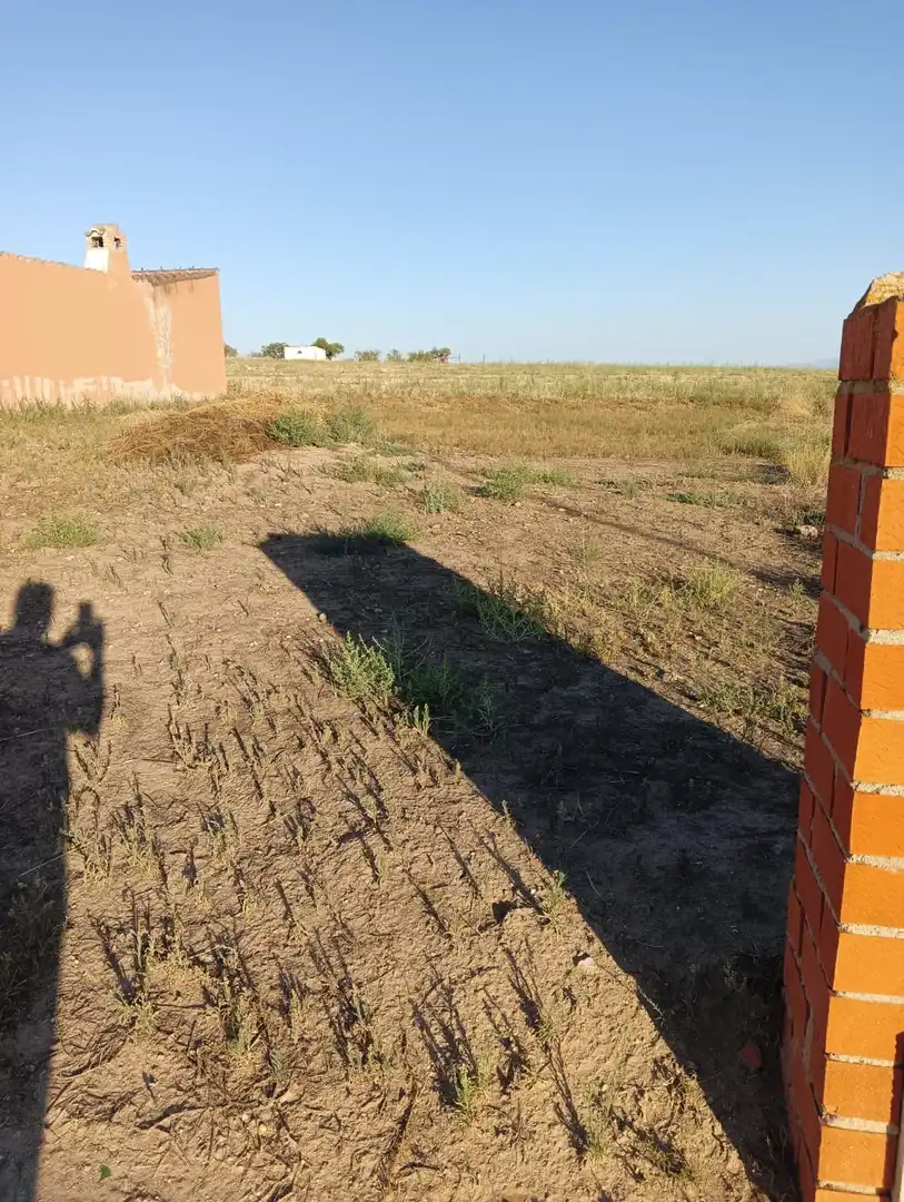 Lands and plots for sale in Novés, imagen 4
