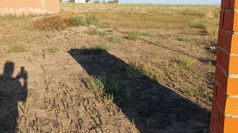 OPORTUNIDAD!! VENDO SOLAR DE 250 M2 MUY BIEN SITUADO EN NOVÉS., imatge 4
