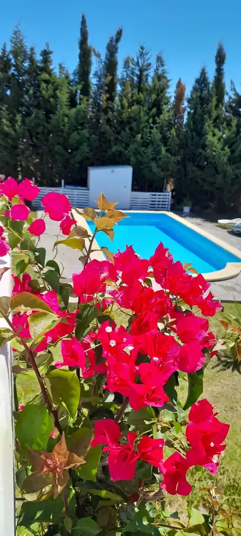 Piscina de Casa o xalet de lloguer en Barbate amb Calefacció, Jardí privat i Terrassa
